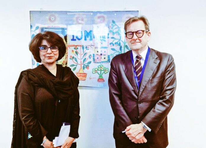 Pakistan's Ambassador Amna Baloch meets Henrikson EU special envoy on migration in Brussels