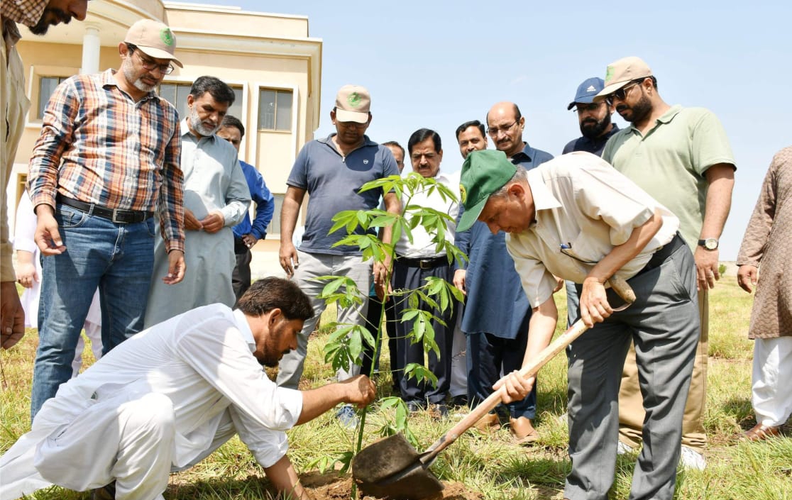 Tree Plantation Campaign Inaugurated at PMAS-AAUR Sub-Campus Attock