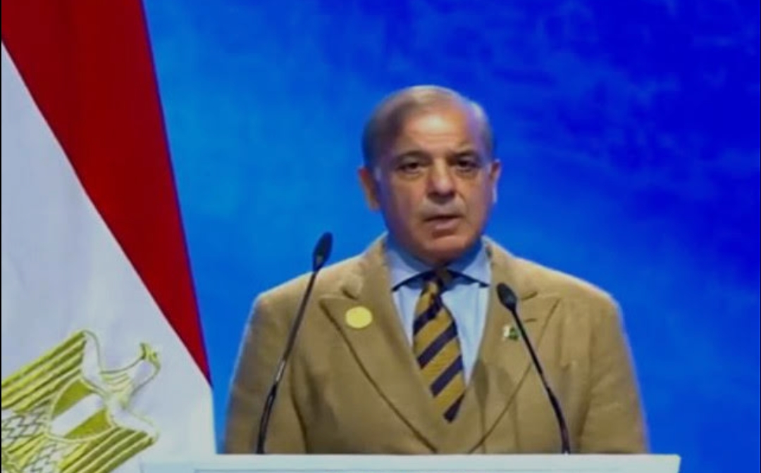 PM Shehbaz Sharif to Represent Pakistan at 11th D-8 Summit in Cairo, Egypt