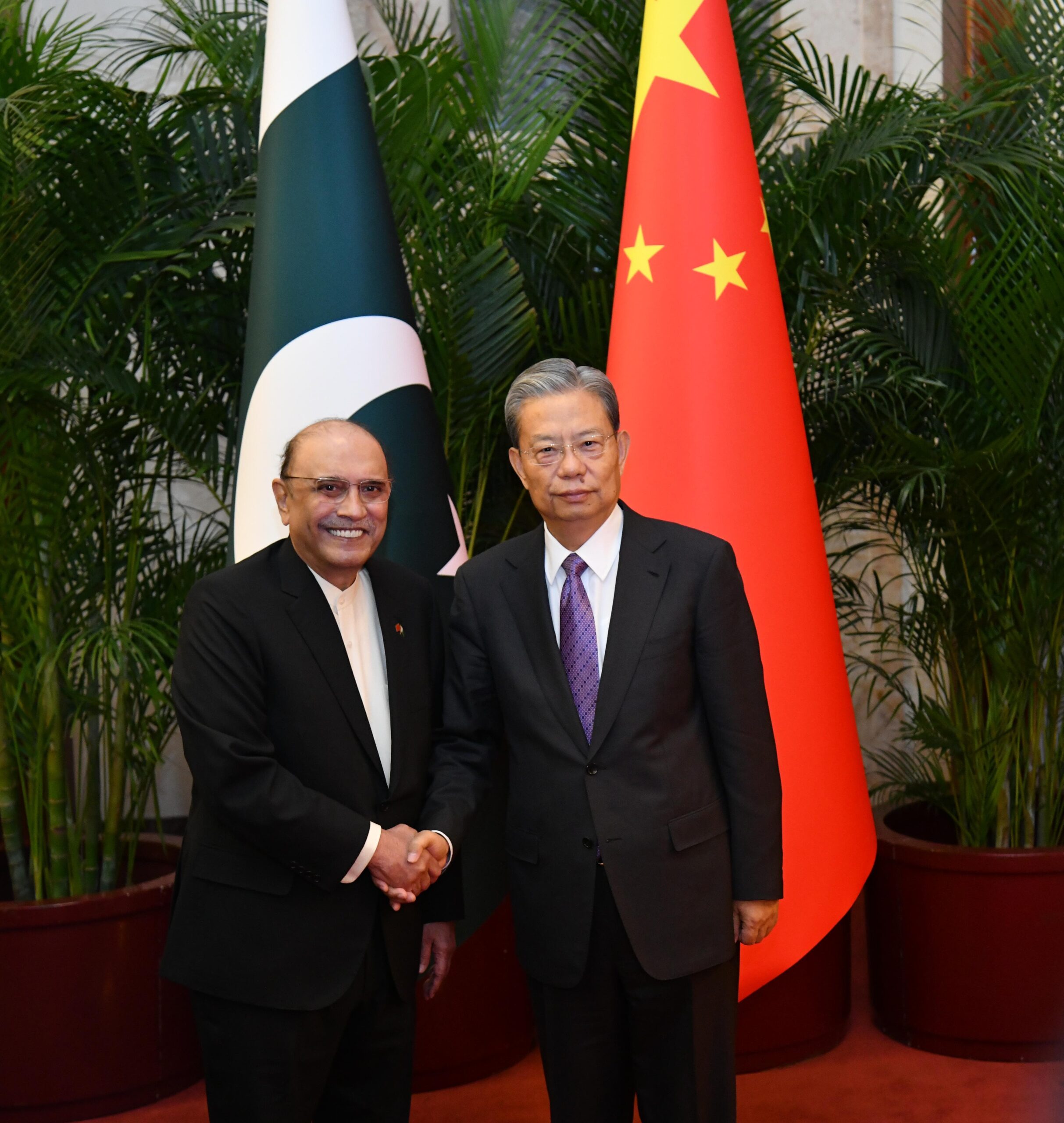 President Asif Ali Zardari meets Chairman of the Standing Committee of National People’s Congress, Zhao Leji
